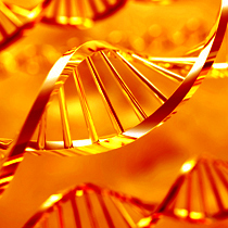 Next generation sequencing library preparation