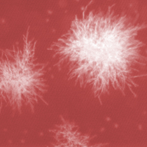 Mikrobiologie, Reinraumkontamination, Monitoring, Umgebungskontrolle