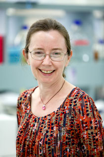 Amanda Capes-Davis Kreuzkontamination