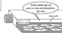 Czichos Comic Kreuzkontamination