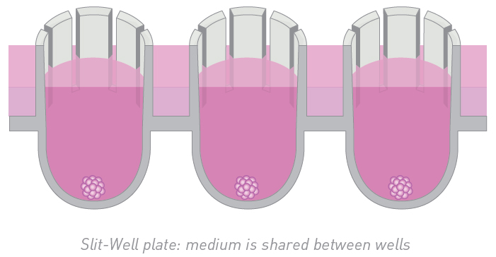PHCbi 3D cell culture well plate slit