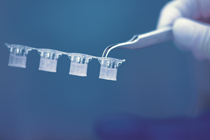 Brand Insert Transwell strips dividable separateable